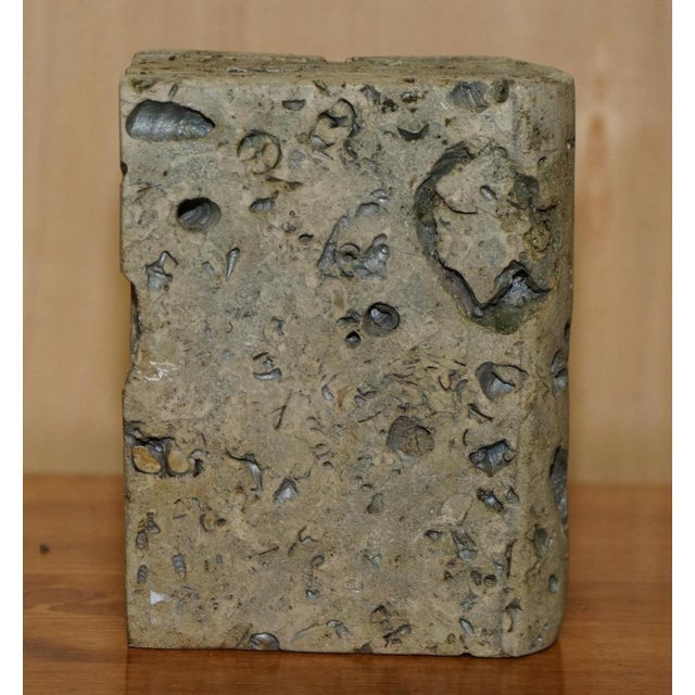 Stone Carved Stone Library Book, 1900s For Sale - Image 7 of 10