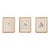 19th Century Engravings of Birds - A Set of 3 For Sale
