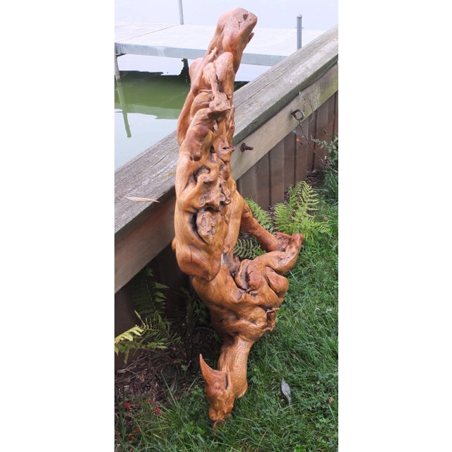 2000 - 2009 Rustic Bird Like Natural Tree Root Sculpture For Sale - Image 5 of 8