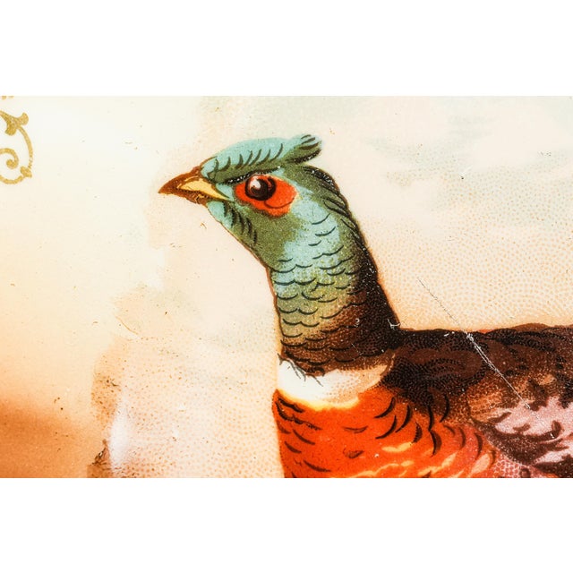 19th Century Charming Antique Pheasant Plate Hand Painted Bavaria Porcelain Hunting Lodge Wall Home Decor For Sale - Image 5 of 15
