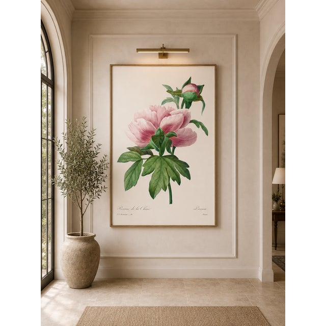 Peony by Pierre-Joseph Redouté, Vintage Botanical Art Print, 40" X 60" For Sale - Image 10 of 11
