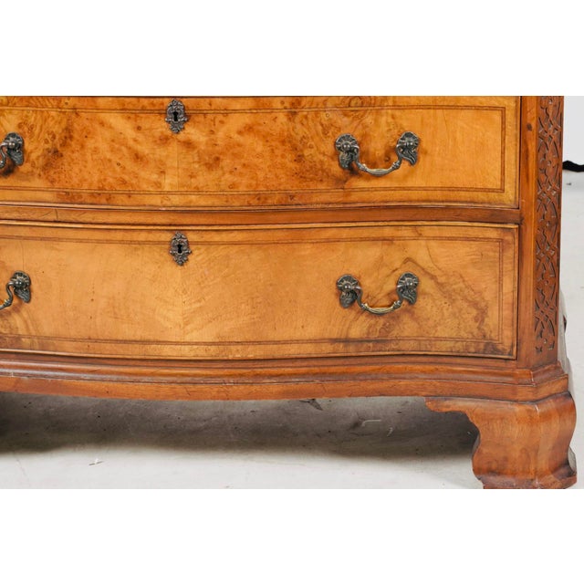 1920s Queen Anne Revival Burl Walnut Serpentine Chest of Drawers – Dutch Colonial Style For Sale - Image 4 of 10