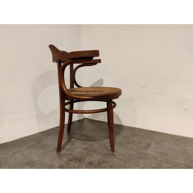 Bentwood Armchair or Bistro Chair, 1950s For Sale - Image 6 of 10