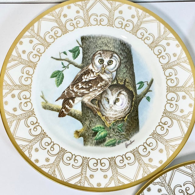 1980 Vintage Arts & Crafts English Bone China Owl Dinner Plates -Set of 8. For Sale - Image 18 of 18