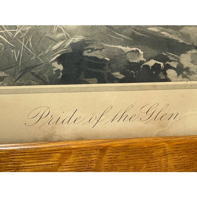 Rare Antique 1894 Wand and Noble Pride of the Glen Moose Elk Engraving Print Art For Sale - Image 12 of 14