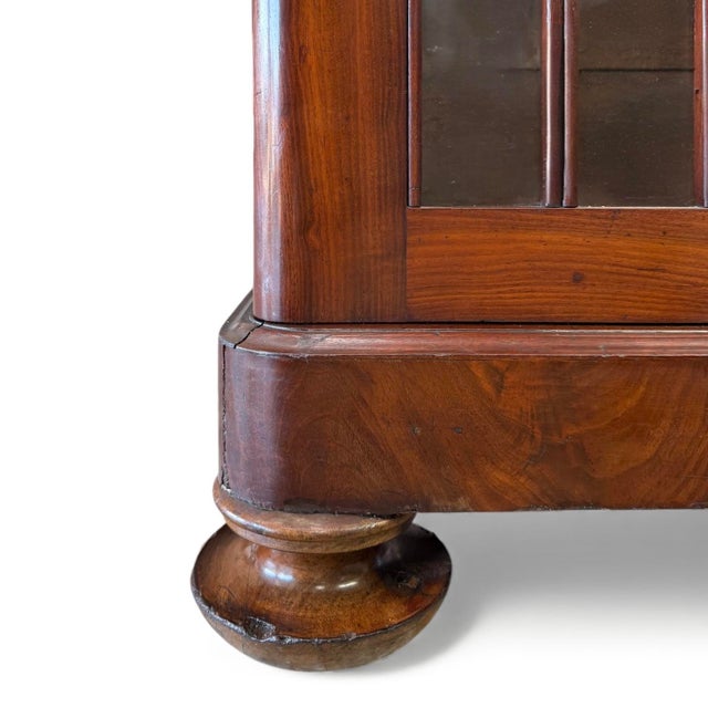 Mahogany Biedermeier Bookcase, Circa 1830 For Sale - Image 13 of 15