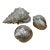Set of 3 Vintage Faux Silver Sea Shells For Sale