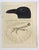 American Mid 19th Century Us Pacifc Railroad Crow Raven Lithograph Book Plate For Sale - Image 3 of 3
