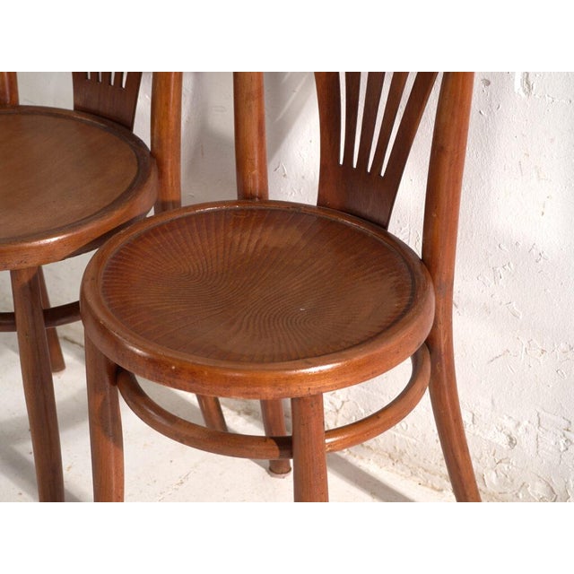 Bentwood Chairs in the style of Thonet, Hungary, 1960, Set of 2 For Sale - Image 9 of 15