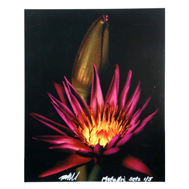 American Cactus Flower From the Metallic Sets, Jonathan Singer For Sale - Image 3 of 3