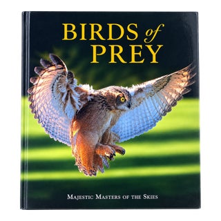 Birds of Prey by Paul D. Frost, 2007 Oversized Hardcover Coffee Table Book For Sale