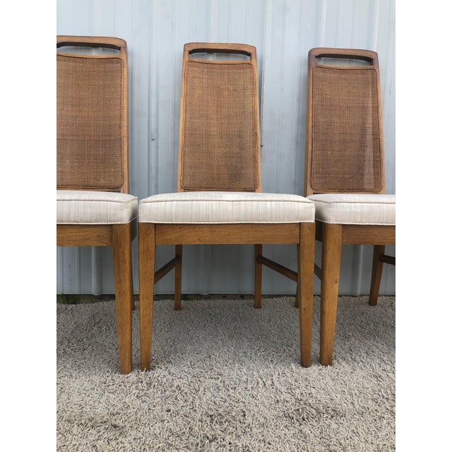 Mid Century Set of 6 Cane Back Dining Chairs by Broyhill Chairish