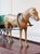 Early 20th-Century Carved Wooden Horse and Carriage Model For Sale - Image 10 of 11