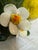 Capodimonte Lemon Candles Holders, Set of Two For Sale In San Francisco - Image 6 of 12