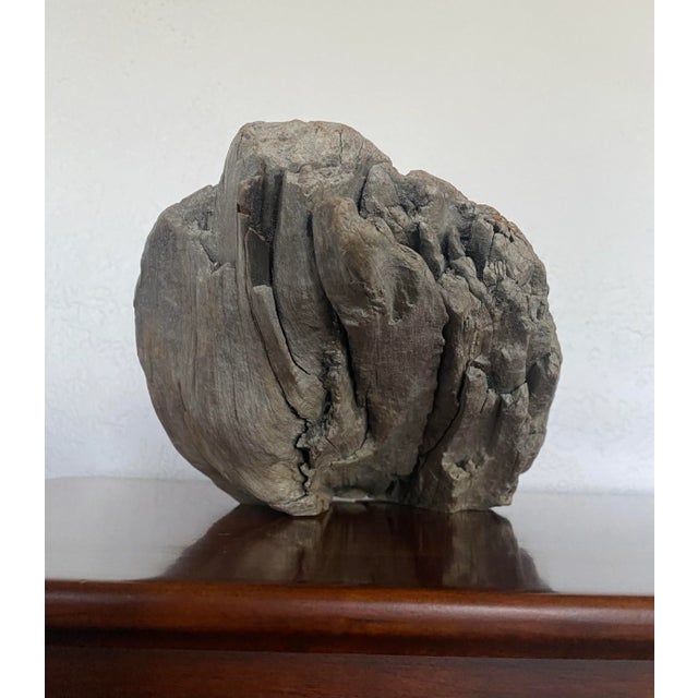 Brown Vintage Carved Driftwood Mallard Duck Sculpture in Myrtle by Glenn Dobrusky For Sale - Image 8 of 10