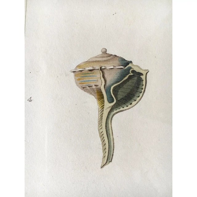 English 1810 Antique George Perry "Monoplex" English Engraved Aquatint Print For Sale - Image 3 of 8