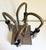 1940s Bronze Biomorphic Table Lamp For Sale - Image 4 of 14
