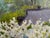 Green Oil Painting - Flowering Fruit Trees by a River For Sale - Image 8 of 10
