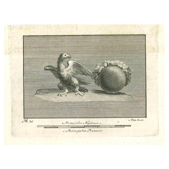 Vincenzo Aloja, Ancient Roman Fresco of Animals, Original Etching, 18th Century For Sale