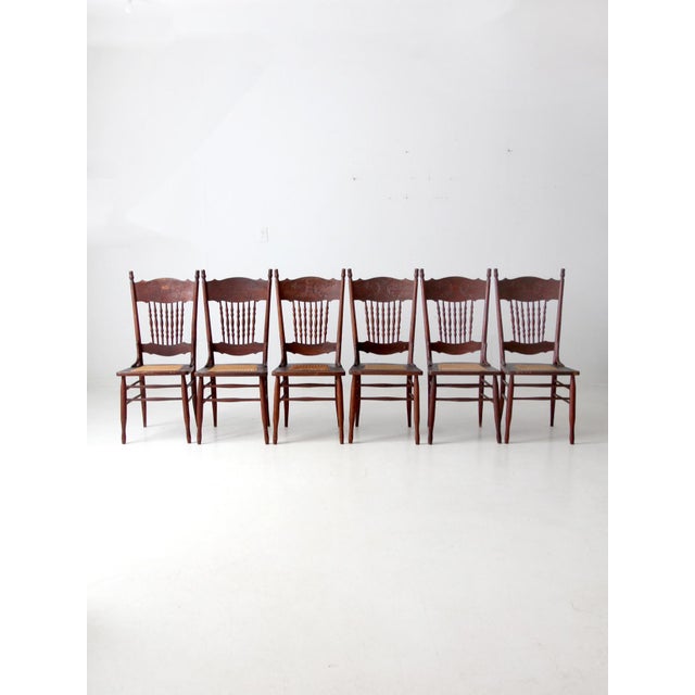 Antique Press Back Dining Chairs Set of 4 For Sale - Image 16 of 16
