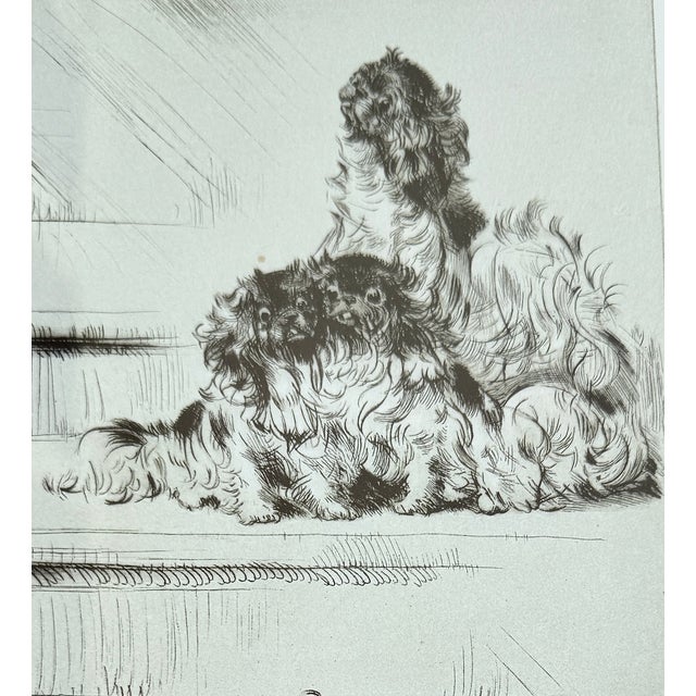 Diana Thorne "Social Climbers" Signed Dog Etching, Framed, Circa 1935 For Sale - Image 4 of 9