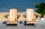 Adirondack Chairs in Natural - a Pair For Sale - Image 9 of 11