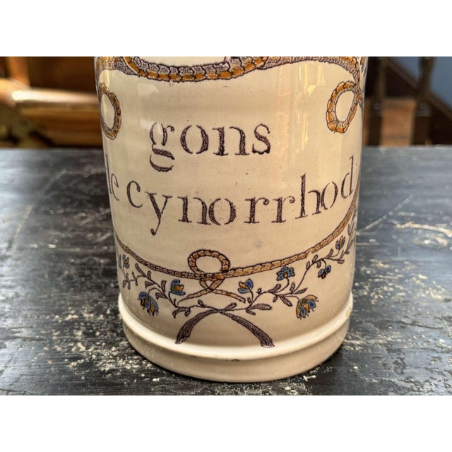 19th Century Earthenware Pharmacy Jar with Branches and Snakes For Sale - Image 3 of 9