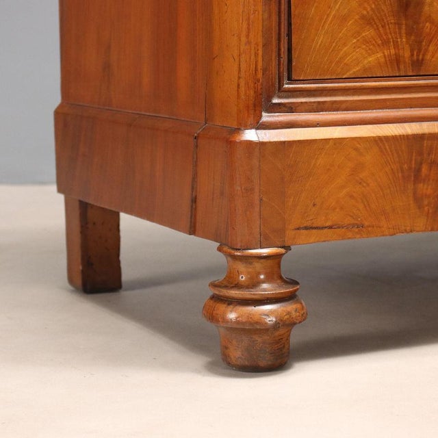 Antique Charles X Wardrobe in Mahogany, Italy, 19th Century For Sale - Image 10 of 12