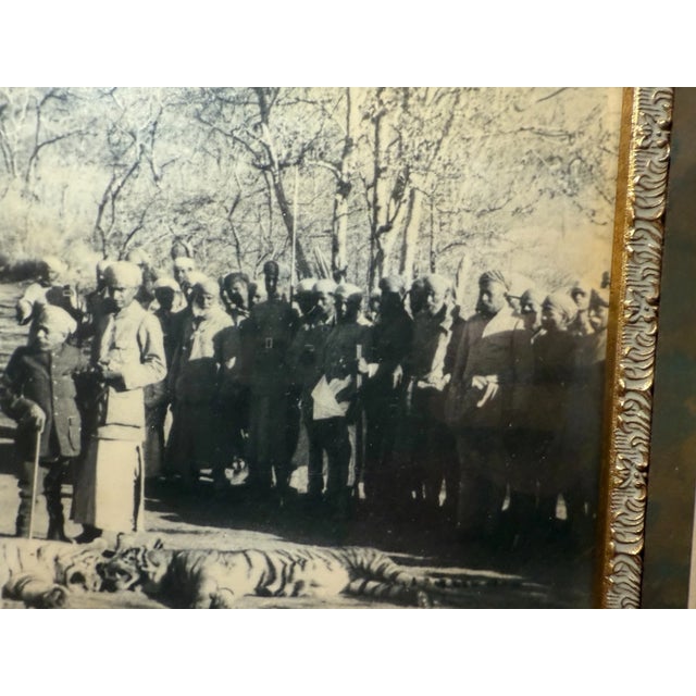 Antique Original 19th Century Framed Indian Dual Tiger Hunt Sepia Photographs For Sale - Image 11 of 13