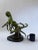 Hunting Octopi - Green Patina Bronze on Marble Base For Sale - Image 10 of 10
