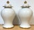 Pair Maison Jansen Style Porcelaine de Paris Covered Urns Gilt Feather Motif For Sale - Image 14 of 18