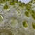 Glass Antique Victorian Hobbs Brockunier Uranium Glass Hobnail Pitcher For Sale - Image 7 of 7