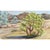 1960s Mid Century California Desert Palm Springs Landscape Fine Art Painting For Sale - Image 5 of 8