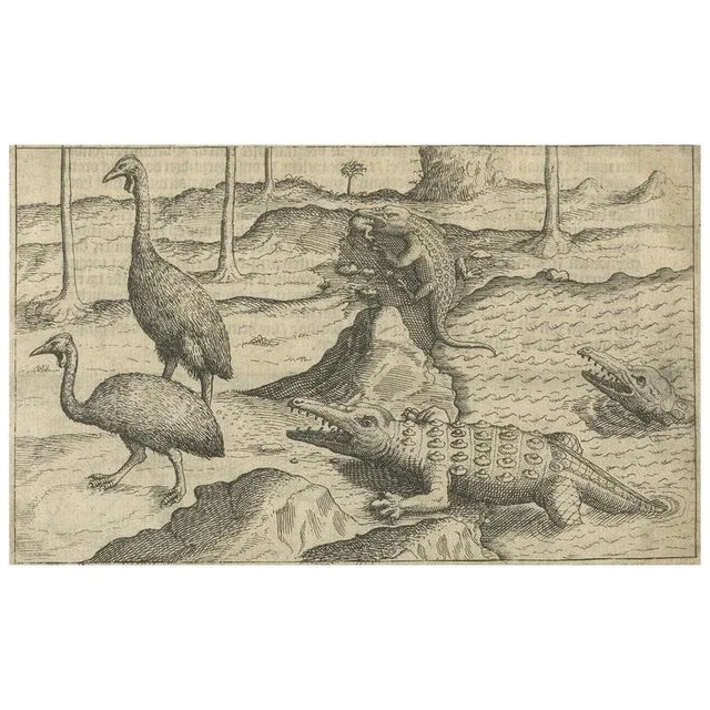Exotic Wildlife and Naval Encounter, 1611, Paper For Sale - Image 10 of 10
