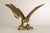 Large Vintage Brass Eagle Statue For Sale In Philadelphia - Image 6 of 12