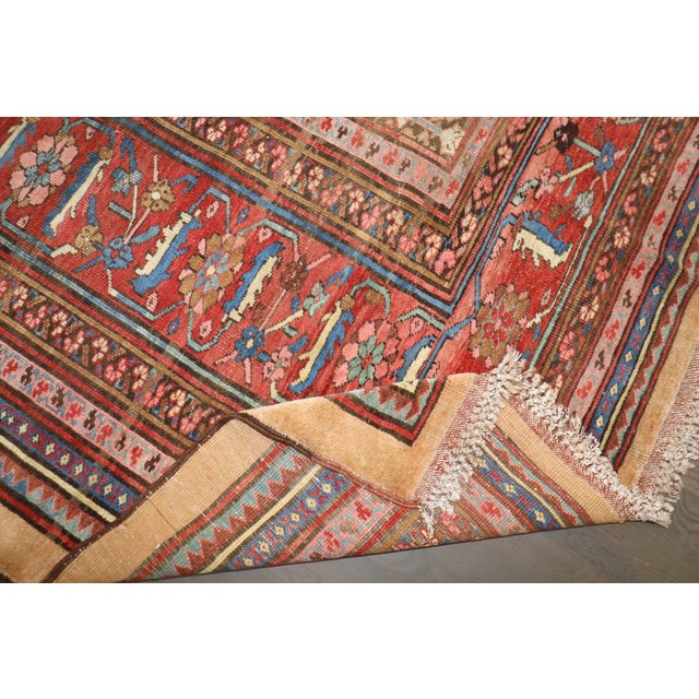 Textile 19th Century Bakshaish Square Rug, 12' X 13'7'' For Sale - Image 7 of 15