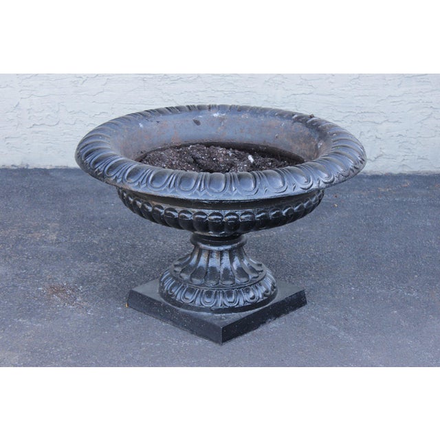 Large Cast Iron Pair Of Garden Urn Planters For Sale - Image 15 of 18