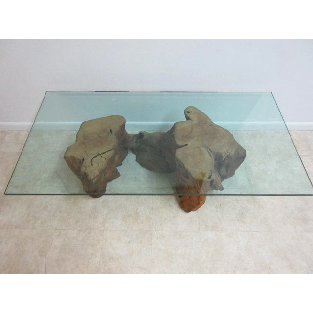 Mid-Century Live Edge Stump Floating Coffee Table For Sale In Philadelphia - Image 6 of 11
