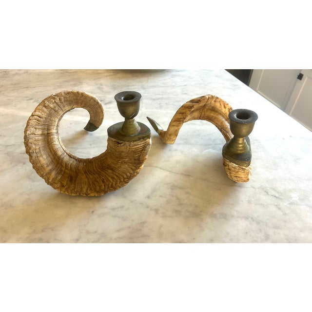 PAIR Vintage Ram Horn Candle Holders Handsome sculptural shapes, real Ram horns with brass candle fittings and horn tips....