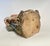 Pieta, Vesperbild, 17th Century German, Carved Wood, Painted For Sale - Image 12 of 13