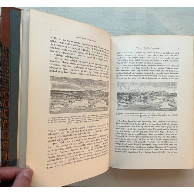 Fine Leather Bindings / Books - History of the Kingdom of Denmark - Danmarks Riges Historie - 6 Volumes For Sale - Image 10 of 14
