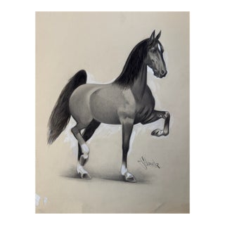 1950s Original Signed Graphite Illustration of Prancing Horse Study, 11.75 X 9 In. For Sale