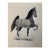 1950s Original Signed Graphite Illustration of Prancing Horse Study, 11.75 X 9 In. For Sale