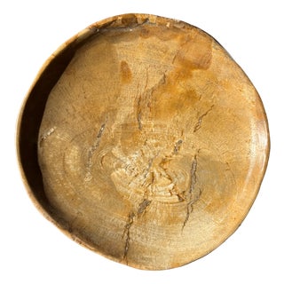 Small Trinket Tray or Dish in Petrified Wood For Sale