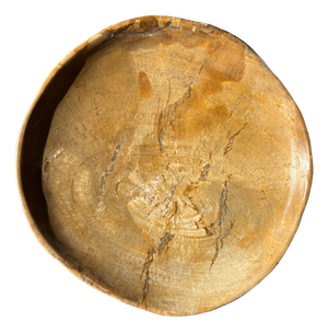 Small Trinket Tray or Dish in Petrified Wood