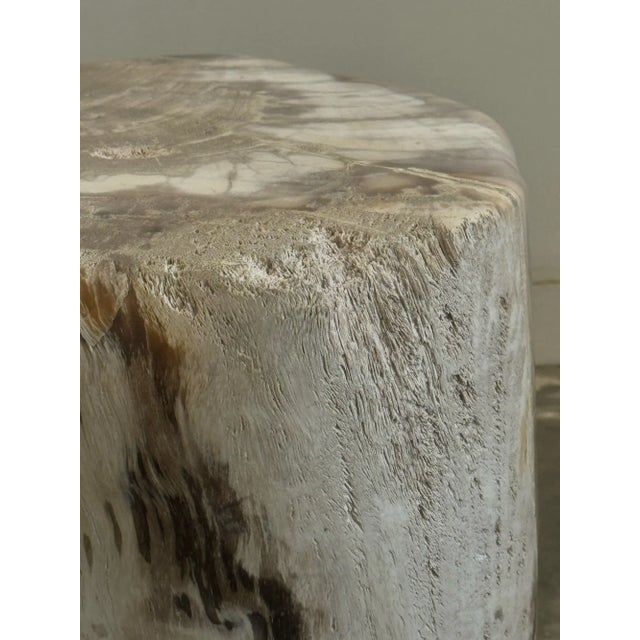 Stone Petrified Stool - Single For Sale - Image 7 of 17
