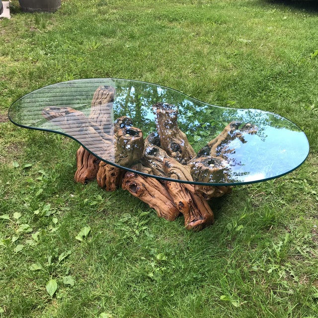 100 Year Old Grape Vine Base Coffee Table With Biomorphic Cut Glass Top