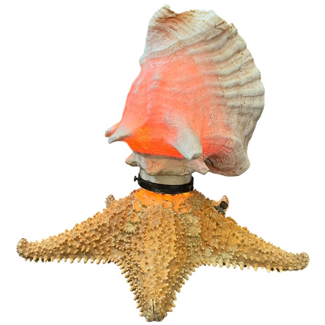 Cream Vintage Natural Conch Shell & Starfish Coastal Table Lamps - a Pair For Sale - Image 8 of 18