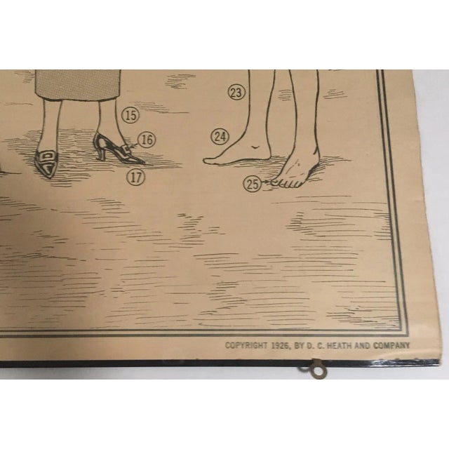 Tan 1926 Vintage Heath's Modern Language Wall Chart No. 9 Double-Sided Classroom Poster For Sale - Image 8 of 9