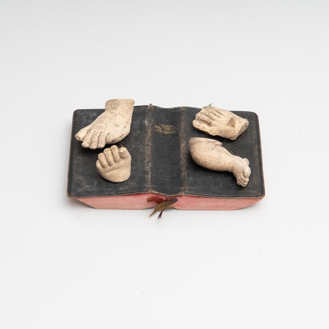 Cabinet of curiosities of plaster pieces and antique book artwork. Made in traditional Catalan atelier in Olot, Spain,...